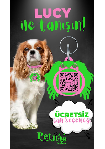 Petjoo 11.Lucy Yeşil-Pembe Qr'lı Köpek Künyesi