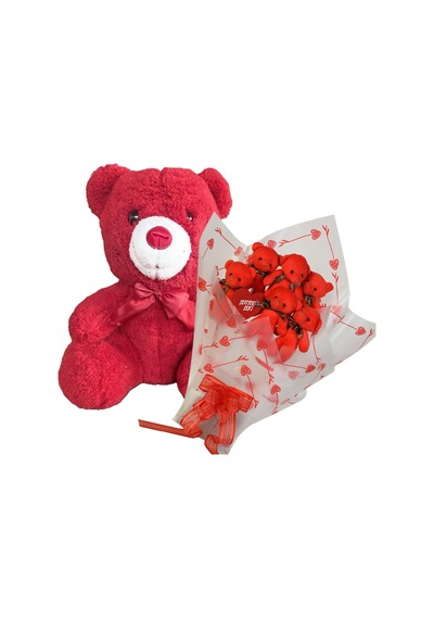 Sevimli 35 Cm Peluş Ayı İle Premium Yumoş Kırmızı Peluş Ayıcık Buketi