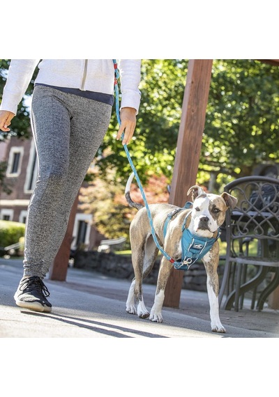 Köpek Koşum Takımı Pet Walking Koşum Takımı No Pull Koşum Ön Klips Fonksiyonu Antrenman İçin Araç Emniyet Kemeri Tru-fit Hızlı Kilit Tarzı Orta Mavi
