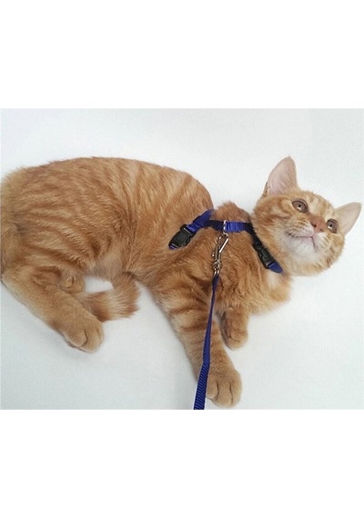 Ayarlanabilir Renkli Kedi Göğüs Tasması 120cm