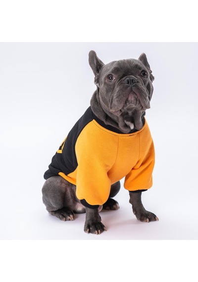 Pettrend Batman Baskılı Polar Kedi Köpek Sweati Kedi Köpek Elbisesi