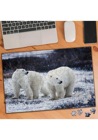Kutup Ayısı 240 Parça Puzzle Yapboz-74509