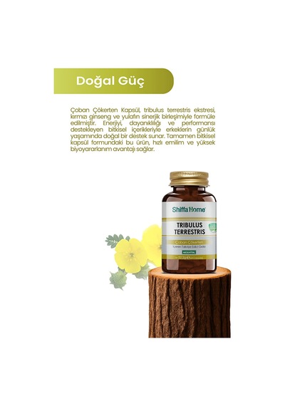 Tribulus Terrestiris Çoban Çökerten 60 Kapsül
