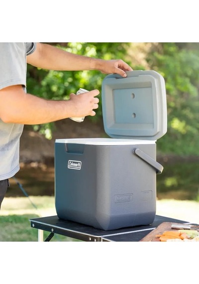 Coleman Daintree Personal Hard Cooler Soğutucu Buzluk 28 Lt Çok Renkli