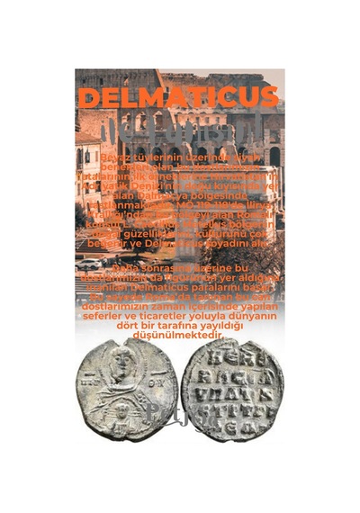 Petjoo 28.Delmaticus Gri-Turuncu Qr'lı Köpek Künyesi