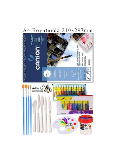 Canson Çok Amaçlı Sanatsal Blok A4 200 Gr 20 Yaprak 1 Adet Fanart 12 Renk Yağlı Boya Fırça Palet Spatula Fırça Temizleme