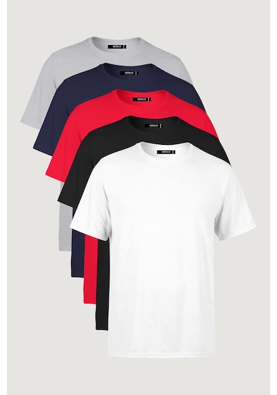 Erkek Çok Renkli T- Shirt Regular Fit Rahat Kesim Bisiklet Yaka 5'li Basic Tişört Paketi Çok Renkli