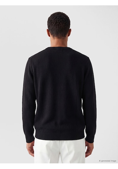 Lcw Vision Siyah Bisiklet Yaka Regular Fit Erkek Triko Kazak