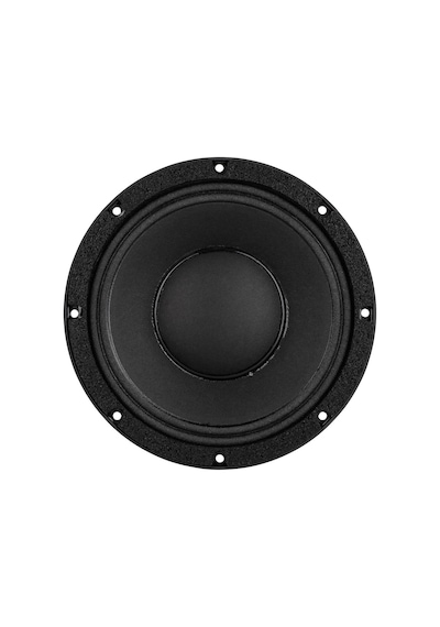 Lavoce Wan082.50 8" 250W Çıplak Hoparlör