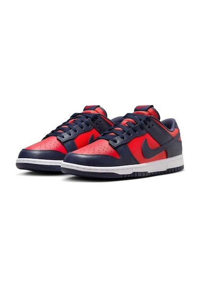Nike Dunk Low Retro Dv0833-601 Çok Renkli