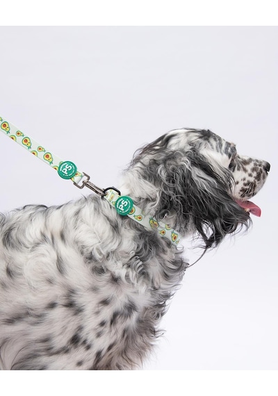 Avocado Avokado Desenli Köpek Boyun Tasması Ayarlanabilir Köpek Tasması M Size 32-48cm Boyun Aralığı Yeşil