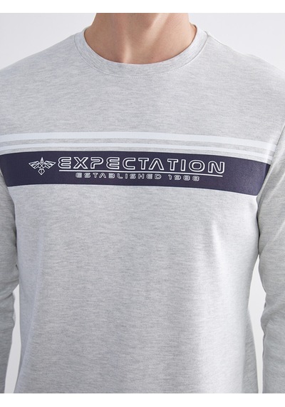 LC Waikiki Lc Waıkıkı Bej Bisiklet Yaka Baskılı Erkek Sweatshirt