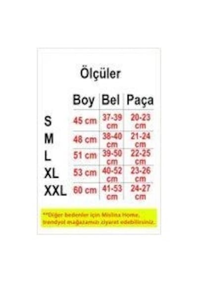 Mislina Home Su Sıvı Geçirmez Yıkanabilir Hasta Yaşlı Bakım Külodu M