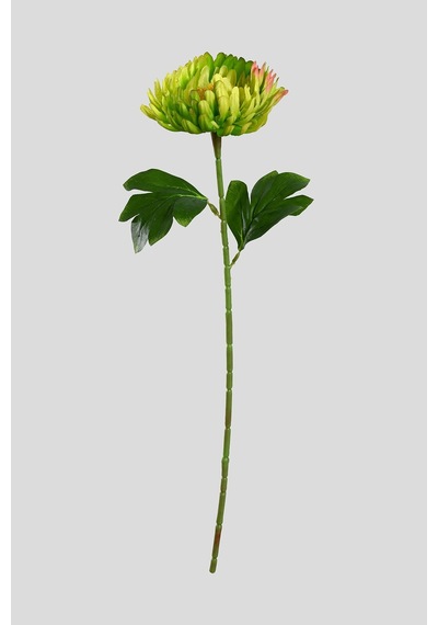Yeşil Yapay Kasımpatı Çiçeği Tek Dal Lüx İpeksi Dokulu 55 Cm