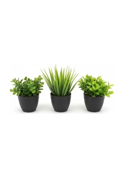 3'lü Mini Yapay Sukulent Seti, 8 Cm Saksı İle 20beyazcipso