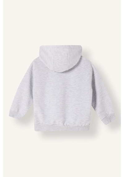 Defacto Kapüşonlu Fermuarlı Sweatshırt Hırka Erkek Bebek E8697a526augr396 Gri-gr396