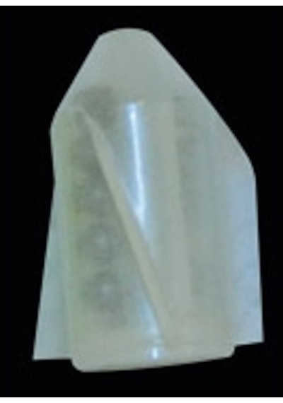 Yem Çıngırağı