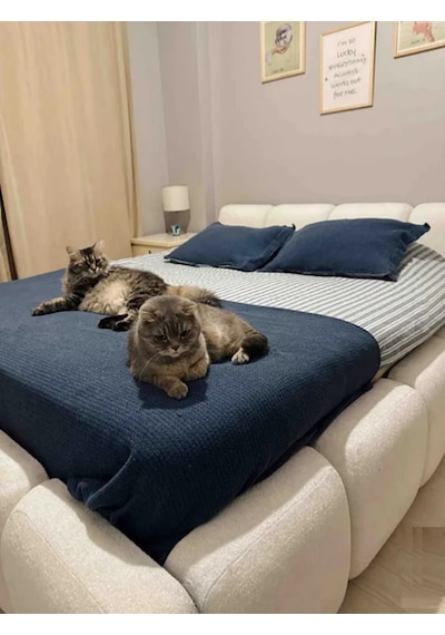 Most Oktagon Bazalı Karyola 180x200 Beyaz Bukle Kumaş İşbir Kuştüyü Sünger
