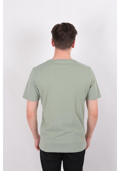Diandor 2517300 Erkek T-shirt Elma