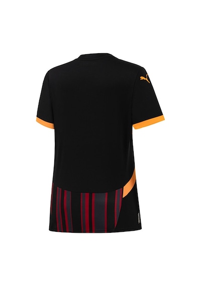 Puma Galatasaray Sk 2024/2025 Kadın Futbol Forması Galatasaray Sk 2024/2025 Kadın Futbol Forması 77965803 Siyah 77965803 Siyah