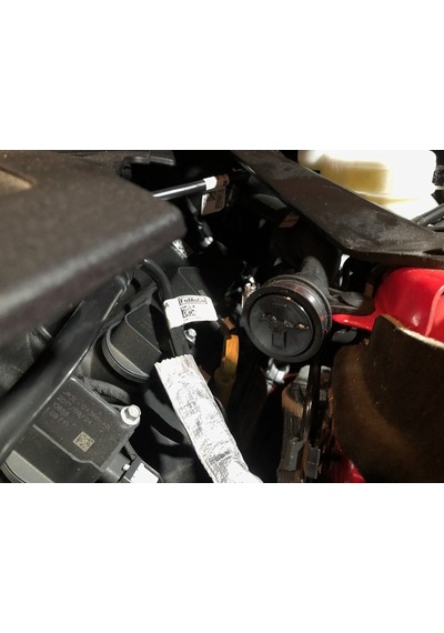 Ford Mustang Factory Five Mk4 Gaz Teli Pedal Ucu Tıpası