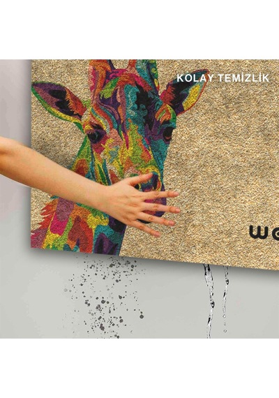 Dekoratif Kapı Önü Paspası - Kaymaz Taban 44 Çok Renkli