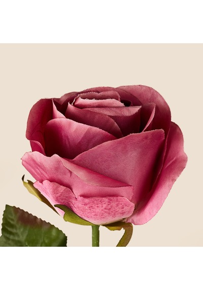 Deco Gül Yapay Dal Çiçek - Pembe - 74,5 Cm Çok Renkli
