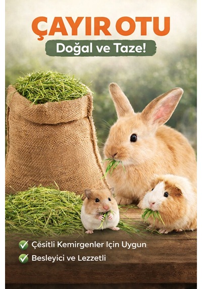 Doğal Çayır Otu Kemirgen Yemi Tavşan Hamster Ginepig Chinchilla D