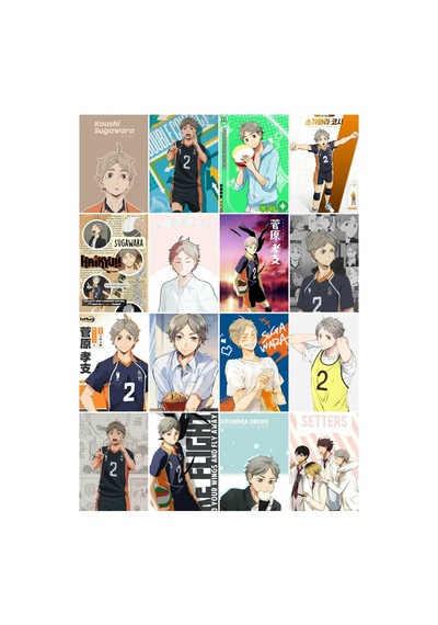 Haikyuu - Kaushi Suguwara Desenli Tasarım 16' L Fotokart Seti