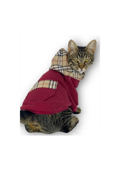 Kemique Bb Limited Duo Kapşonlu Kedi Sweatshirt