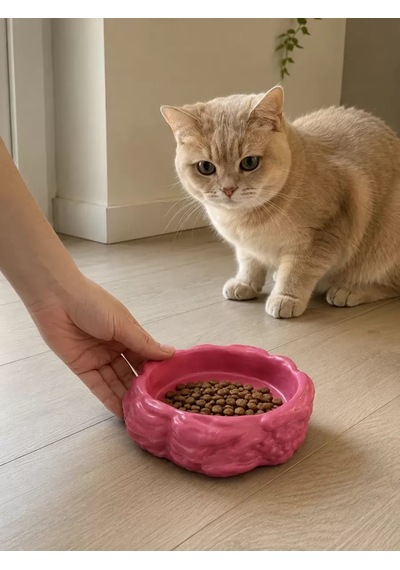Hubrendy Sh Eko Form Model Beton Kedi Köpek Mama Ve Su Kabı 16cm 16cm 5.5cm - Pembe
