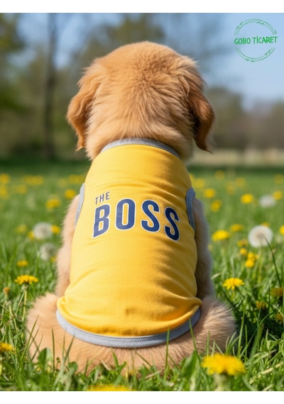 Sarı The Boss Patron Yazılı Kedi Ve Köpek Kıyafeti Tişörtü Elbisesi Medium/m/beden 2