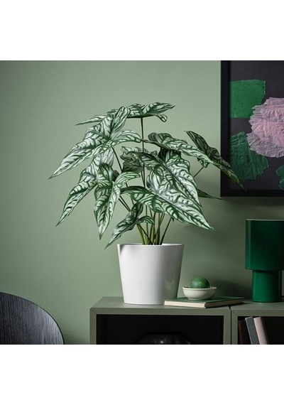 Ikea Fejka Yapay Bitki, Yeşil, 15 Cm, İç/dış Mekan Cercestis Mirabilis