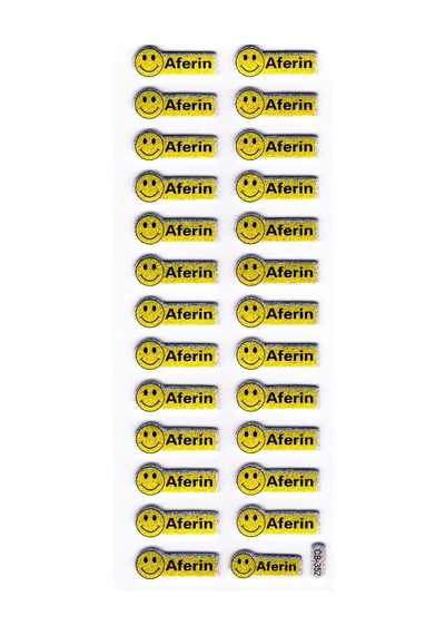 Sticker Kabartmalı Stiker Defter, Planlayıcı Etiket Aferin Etiketi Cb352 16x7 Cm