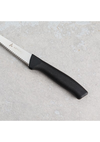 Aryıldız Rexa Tırtıklı Sebze Bıçak Siyah 10 Cm Renkli