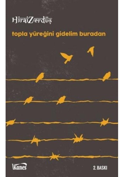 Topla Yüreğini Gidelim Buradan - Hirai Zerdüş - Kanes Yayınları
