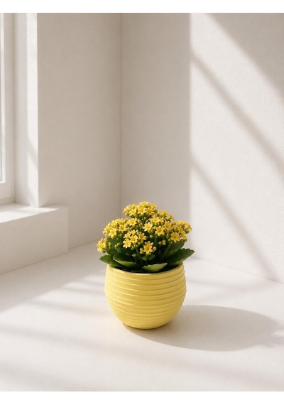 Mini Yuvarlak Dekoratif Saksı, Sarı