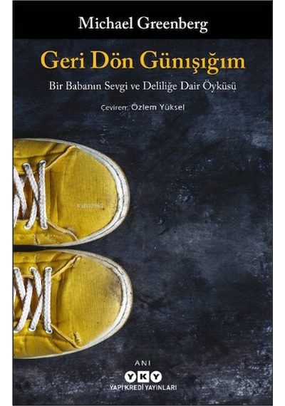 Geri Dön Günışığım - Michael Greenberg - Yapı Kredi Yayınları