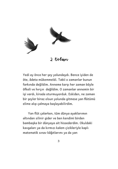 Kuşun Şarkısı - Resimli Çocuk Romanı / 8 yaş + -