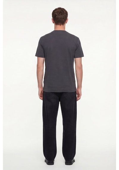 Sabri Özel Erkek Füme Normal Kesim Regular FitPamuk Dokuma Bisiklet Yaka Basic T-shirt