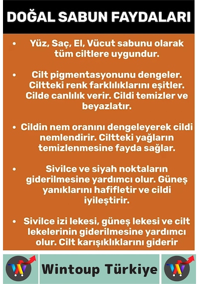 Wintoup Isırgan Otu Sabunu 100 G