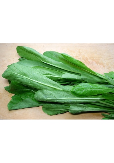 100+ Mibuna Aromatik Yeşillik Tohumu N112897