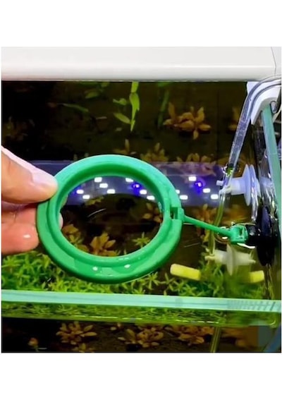 Liya Akvaryum Balık Yemleme Halkası 7.5 CM Mavi
