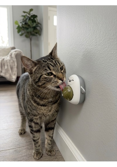 Gri Sevimli Karakter Tasarımlı Kedi Nanesi Topu - Duvara Yapışan Dönen Catnip Oyuncağı