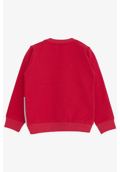 Breeze Kız Çocuk Sweatshirt Köpek Baskılı 2-6 Yaş, Fuşya