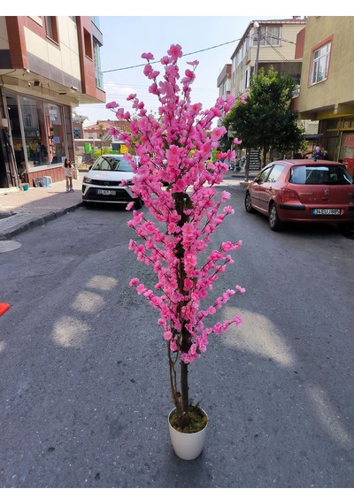 Rüzgar Yapay Çiçekçilik 175 Cm Beyaz Saksida Pembe Bahardali Ağacı Pembe