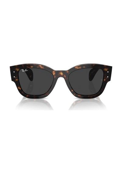 Ray-ban Güneş Gözlüğü Rb7681s 52 902/48 Kahverengi