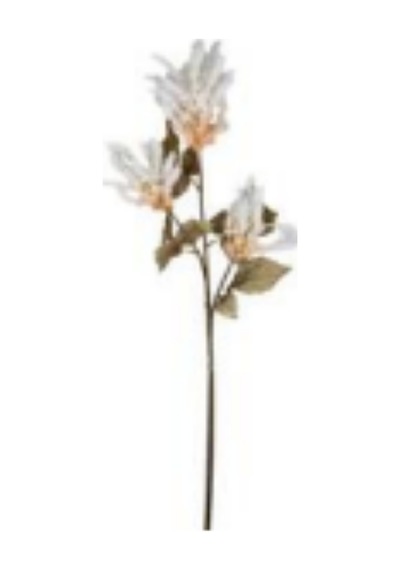 Yapay Çiçekli Bitki, Pampas, Krem - 90 Cm Çok Renkli