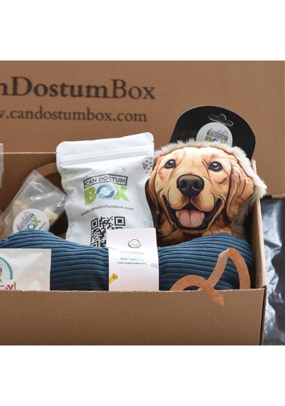 Candostumbox Evcil Hayvan Hediye Kutusu Oyuncak Ve Atıştırmalık