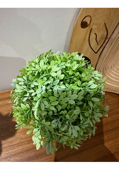 Dekoratif Yapay Bitki Seti - Saksıda Gerçekçi Yeşillik - 17 Cm Yeşil